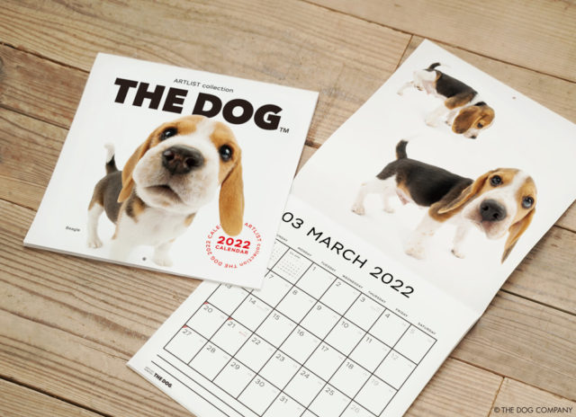 THE DOG公式WEBストアOPEN！ | THE DOG COMPANY