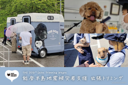 能登半島地震被災者支援 出張トリミング第2弾を実施！ THE DOG™ Salon Trimming Wagon × ピースワンコ・ジャパン